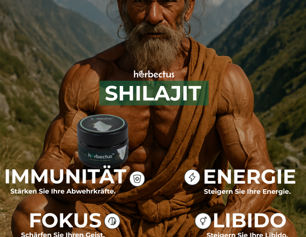 Entfalte dein volles Potenzial mit Shilajit – Das uralte Naturgeheimnis für Energie, Fokus und Lebenskraft